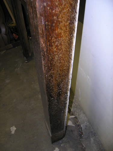 Detail of Antique Fireplace Mantel